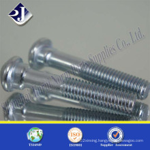 Fastener Lock Screw 8.8 Track Bolt (zinc plated)